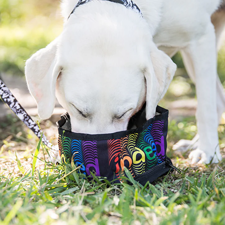 The Eco Friendly Foldable Travel Dog Bowls