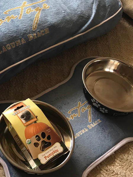 Dog Placemats For When The Kibble Dribbles