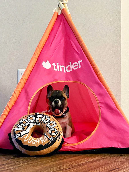 Customizable Dog Teepees: Not Your Average Dog House