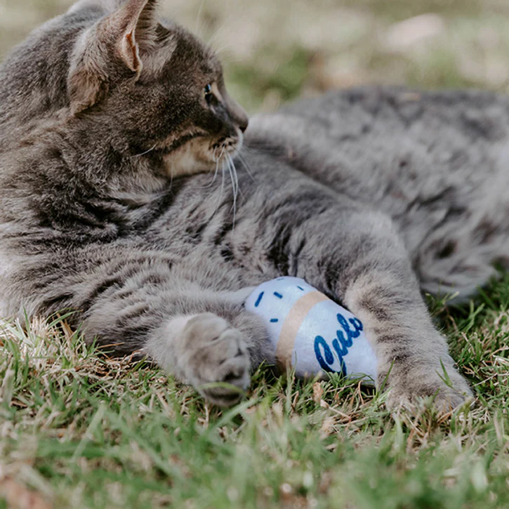Customizable Plush Catnip Toys