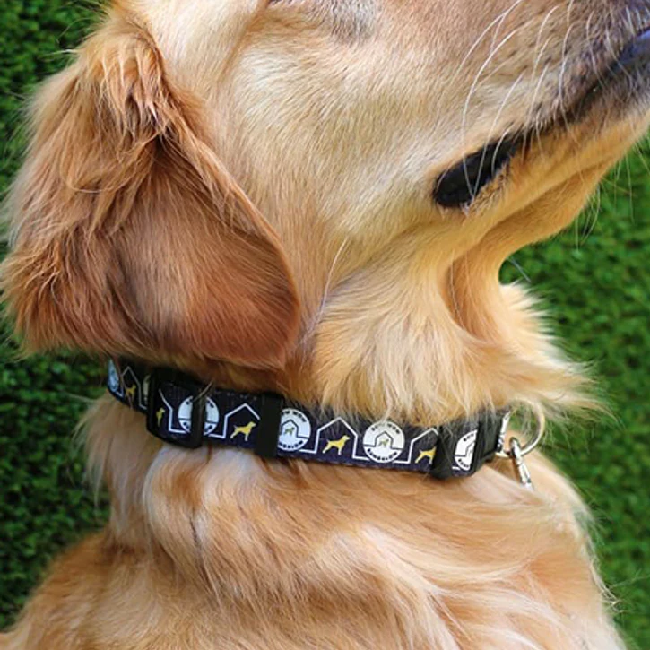 The Eco Friendly Dog Collar