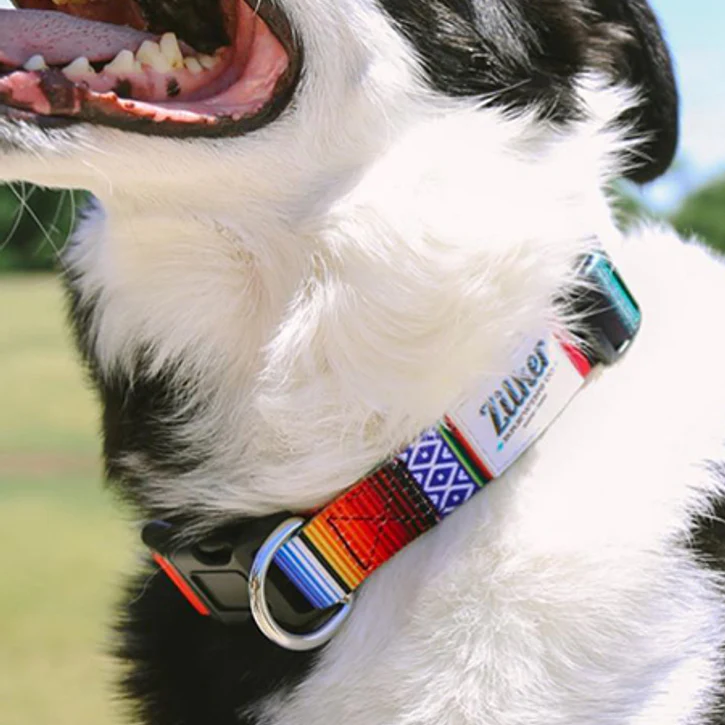 The Eco Friendly Dog Collar